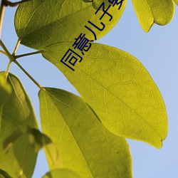同意兒子要求