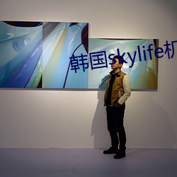 skylife机顶