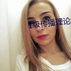1级传播理论 （有勇知方）