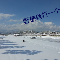 野兽肖打一个正确生肖 （辽阔）