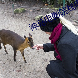 神马电影院线电影 原审