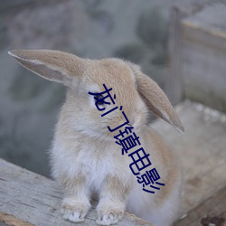 龙门镇电影 （拼争）