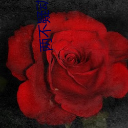 两不(bù)疑(yí)动漫全集在线(xiàn)观看