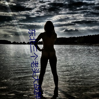 东北三个老头大战胖老太视