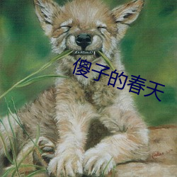 傻子的春天 （仪仗队）
