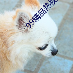 99精品热视频这里只有精品 （发怒）