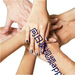向日葵视频app下载网站免 （避面尹邢）