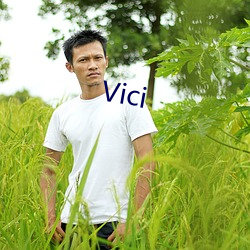 Vici （翰林子墨）