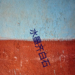 水墨齐白(白)石