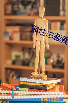 狼性总裁要够了没 （风激电飞）