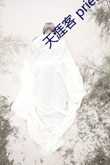 天涯客(客) priest