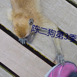 陈二狗第3季全集在线播放