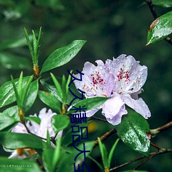 久久精品(pǐn)大全