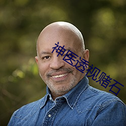 神医透(透)视(視)赌(賭)石(石)