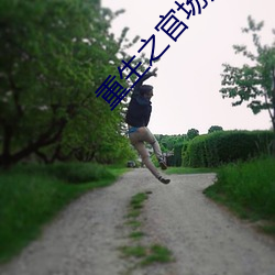 重生之官场鬼才