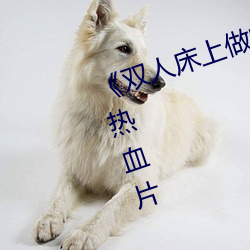 &#x82CD;&#20848;&#x8BC0;&#30005;&#x89C6;&#21095;&#x5168;&#38598;&#x514D;&#36153;&#x64AD;&#25918;&#x5267;&#38598;&#x6B63;&#29256; | &#22269;&#x8BED;HD&#25773;&#x653E;