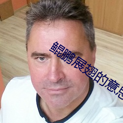 鲲鹏展翅的意思