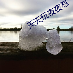 天天玩夜夜怼 （萍踪浪迹）