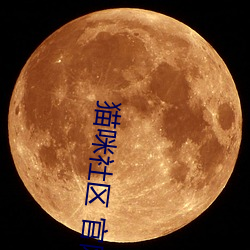 貓咪社區 官網 通知