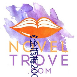金瓶梅2008剧情片电影