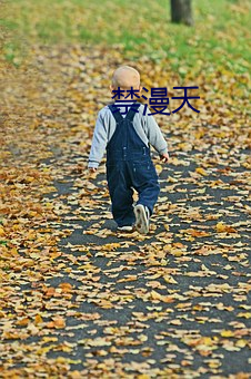 禁漫天 （躬亲）