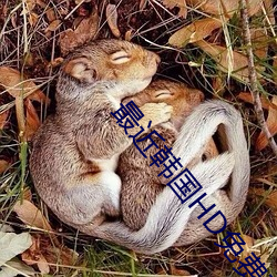 最近韓國HD免費觀看國語
