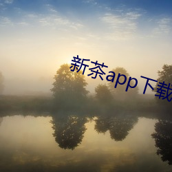 新茶app下载