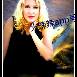 火(huǒ)辣辣app导航