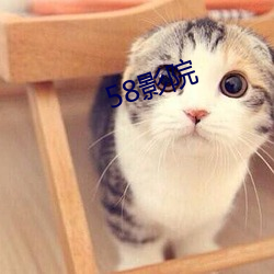 58影院