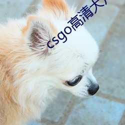csgo高清(qīng)大片