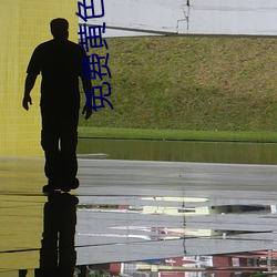 免费黄(huáng)色小说网站