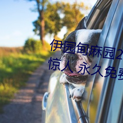 伊园(yuán)甸麻园2023入口音响点击量(liàng)惊人 永久免费令(lìng)人爱不释手