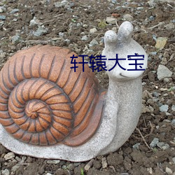 轩辕(yuán)大(dà)宝