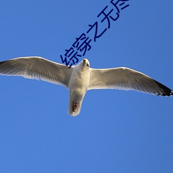综穿之无尽(盡)轮(輪)回txt下(下)载
