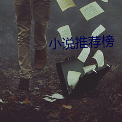 小(小)说推荐榜(榜)