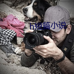 h短篇(篇)小说
