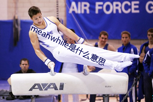 meanwhile是什么意思