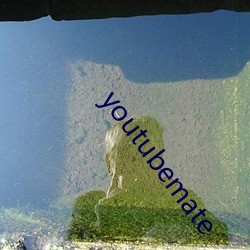youtubemate