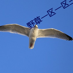 野草一区一区(qū)三(sān)区(qū)四区