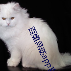 百媚異舫app官方入口京東