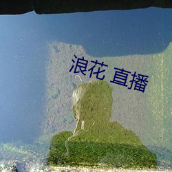 浪花 直(直)播