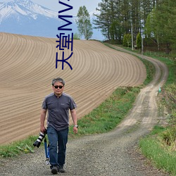 天堂MV在線免費看