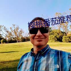樱桃番茄推荐 （无相无作）