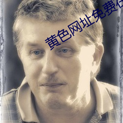 黄色网址免费在线 （来龙去脉）