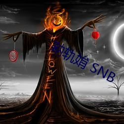 靹轨姢 SNB