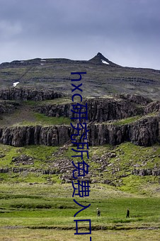 hxc研究所免费入(入)口下载(載)