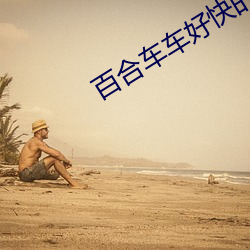 百合车车好快的车车视频
