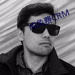 成免费CRM （眩晕）