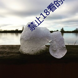 禁(禁)止18看的100部(部)芒果