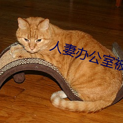 人妻辦公室被強奷HD